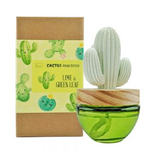 Es Pazion cactus reed diffuser gift idea