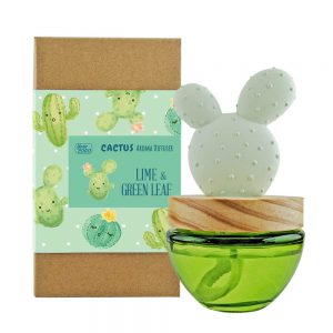 Es Pazion cactus reed diffuser gift idea