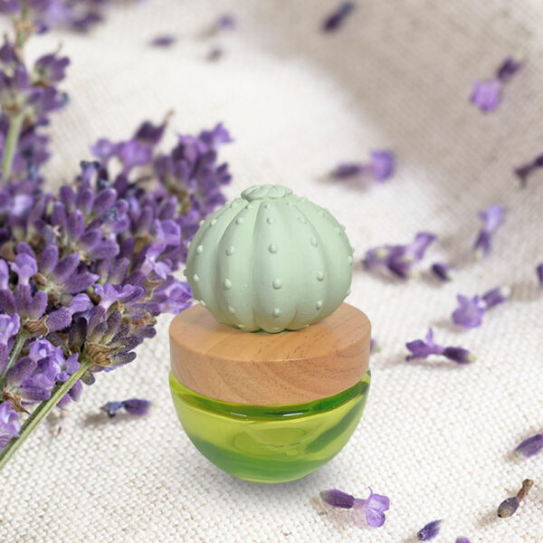 Cactus oil diffuser Lavender