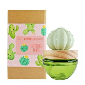 Es Pazion cactus reed diffuser gift idea