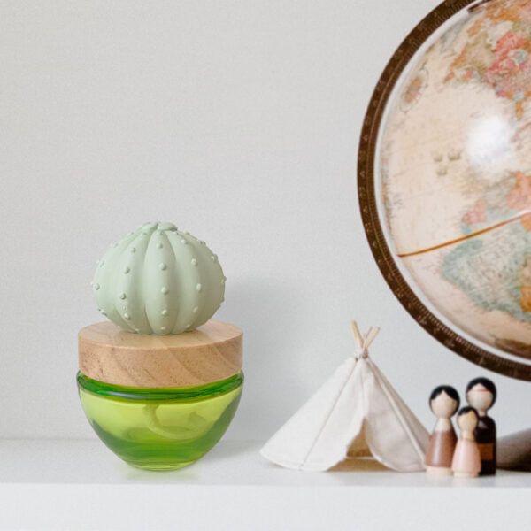 Cactus oil diffuser home decoration