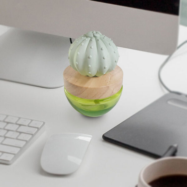 Cactus oil diffuser home decoration