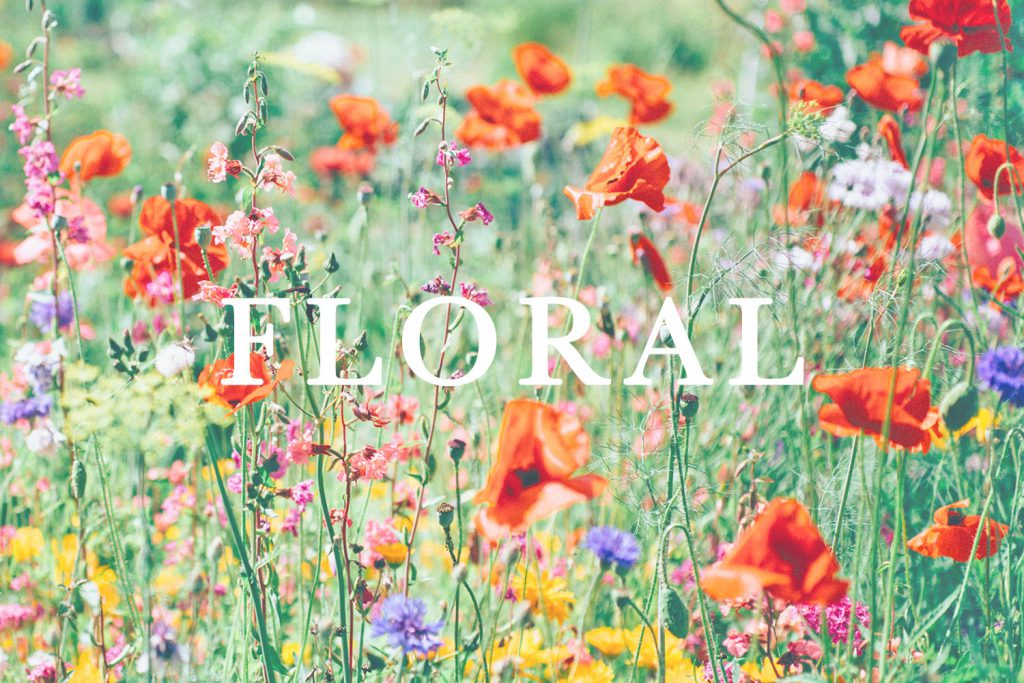 luxury home fragrances & air fresheners Es Pazion fragrance type floral