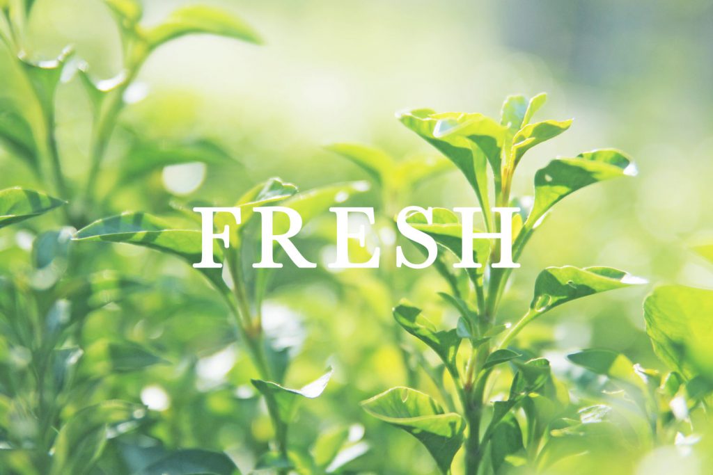 luxury home fragrances & air fresheners Es Pazion fragrance type fresh