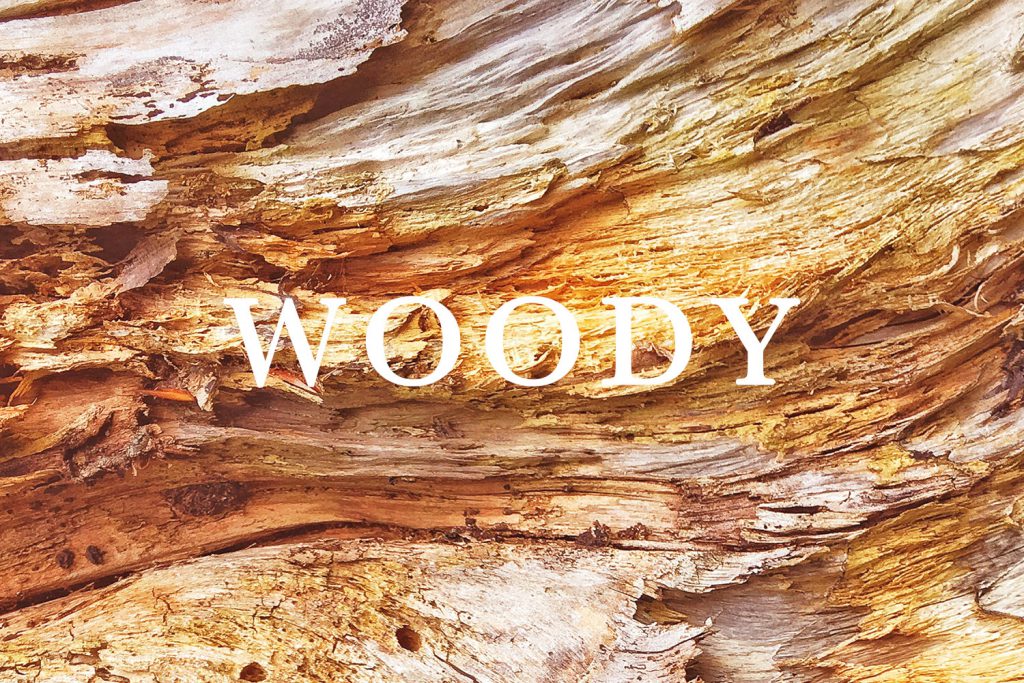 luxury home fragrances & air fresheners Es Pazion fragrance type woody