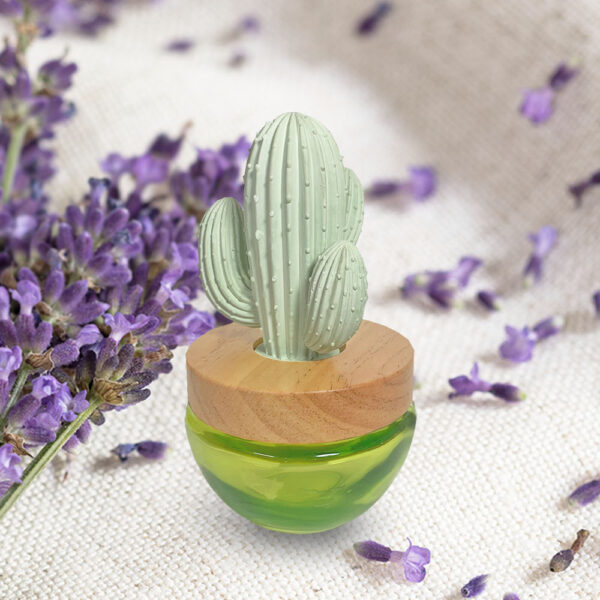 Cactus oil diffuser Lavender