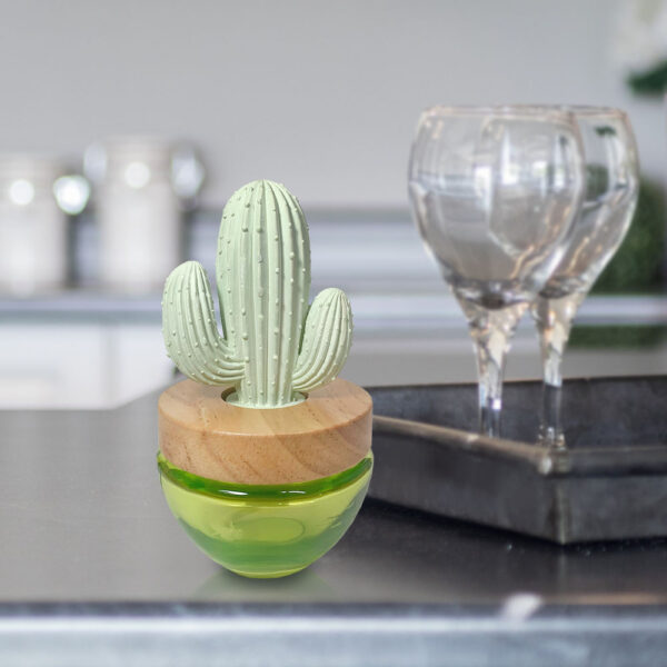 Cactus oil diffuser home decoration
