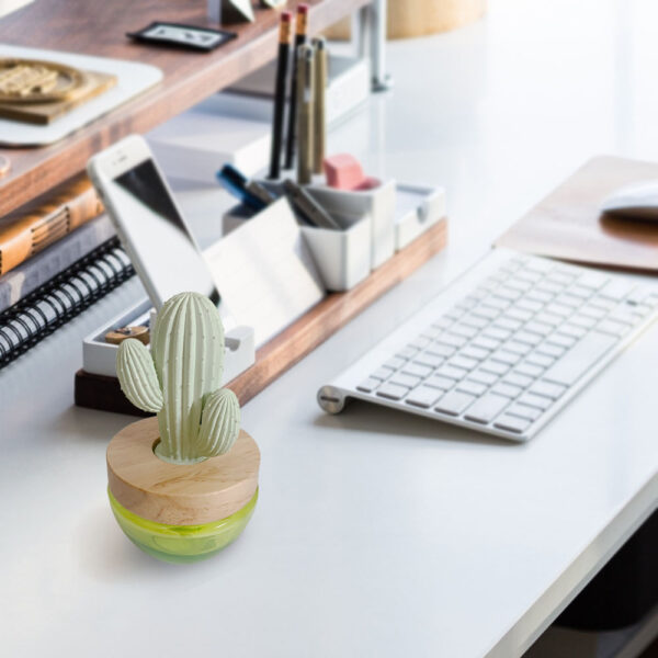 Cactus oil diffuser home decoration