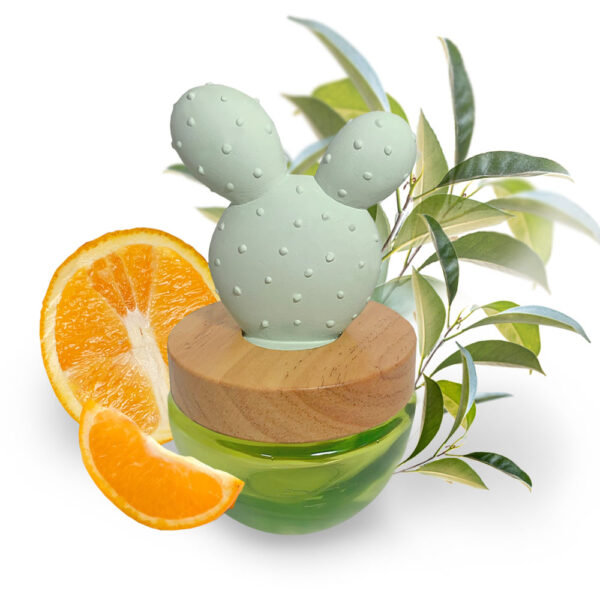Cactus oil diffuser Lime & Green Tea