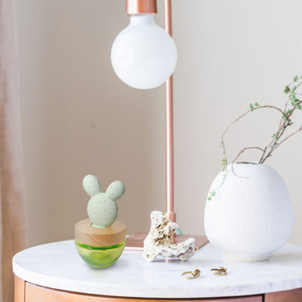 Cactus oil diffuser home decoration