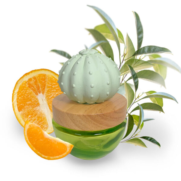 Cactus oil diffuser Lime & Green Tea
