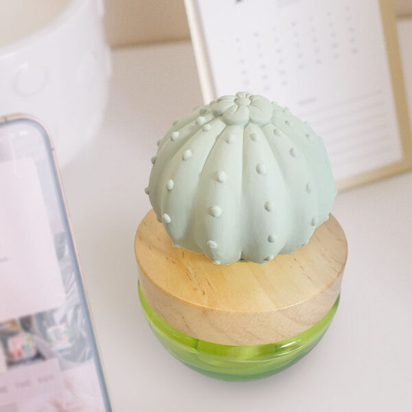 Cactus oil diffuser home decoration