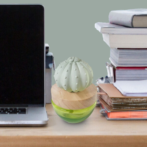 Cactus oil diffuser home decoration