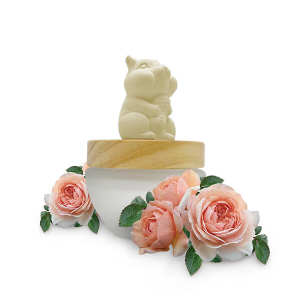 cute room fragrance diffuser lovely rose ES PAZION