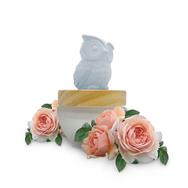 cute home fragrance diffuser lovely rose ES PAZION