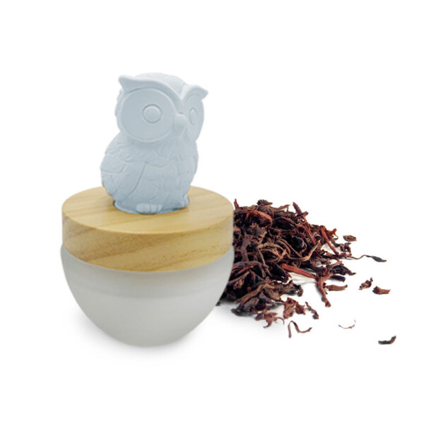 cute home fragrance diffuser cozy tea ES PAZION