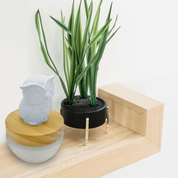 cute home fragrance diffuser ES PAZION