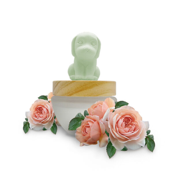 home fragrance diffuser lovely rose ES PAZION