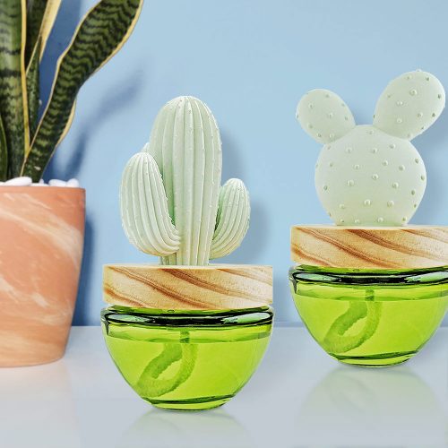Es Pazion Cactus Reed Diffuses Home Fragrance Es Pazion Cactus Reed Diffuses Home Fragrance